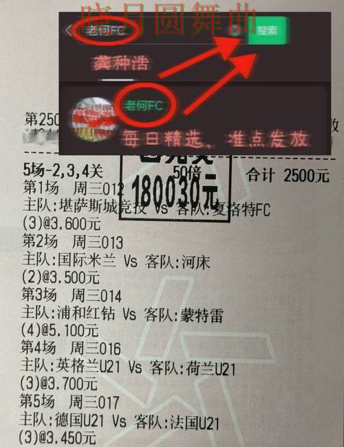 世界杯投注网站登录入口打不开怎么办实用指南